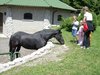 Rodinný tábor 2008